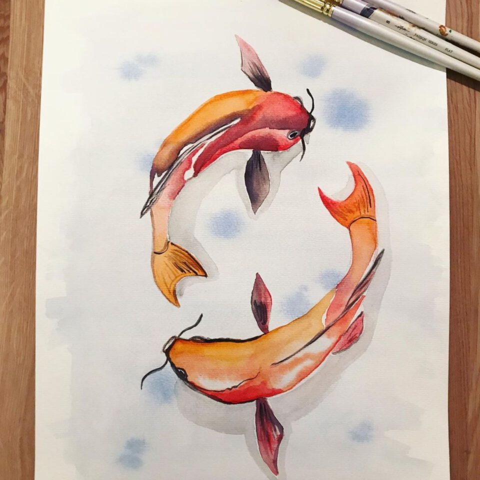 Aquarell Kois